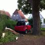 baum-auf-pkw 15-06-13 01